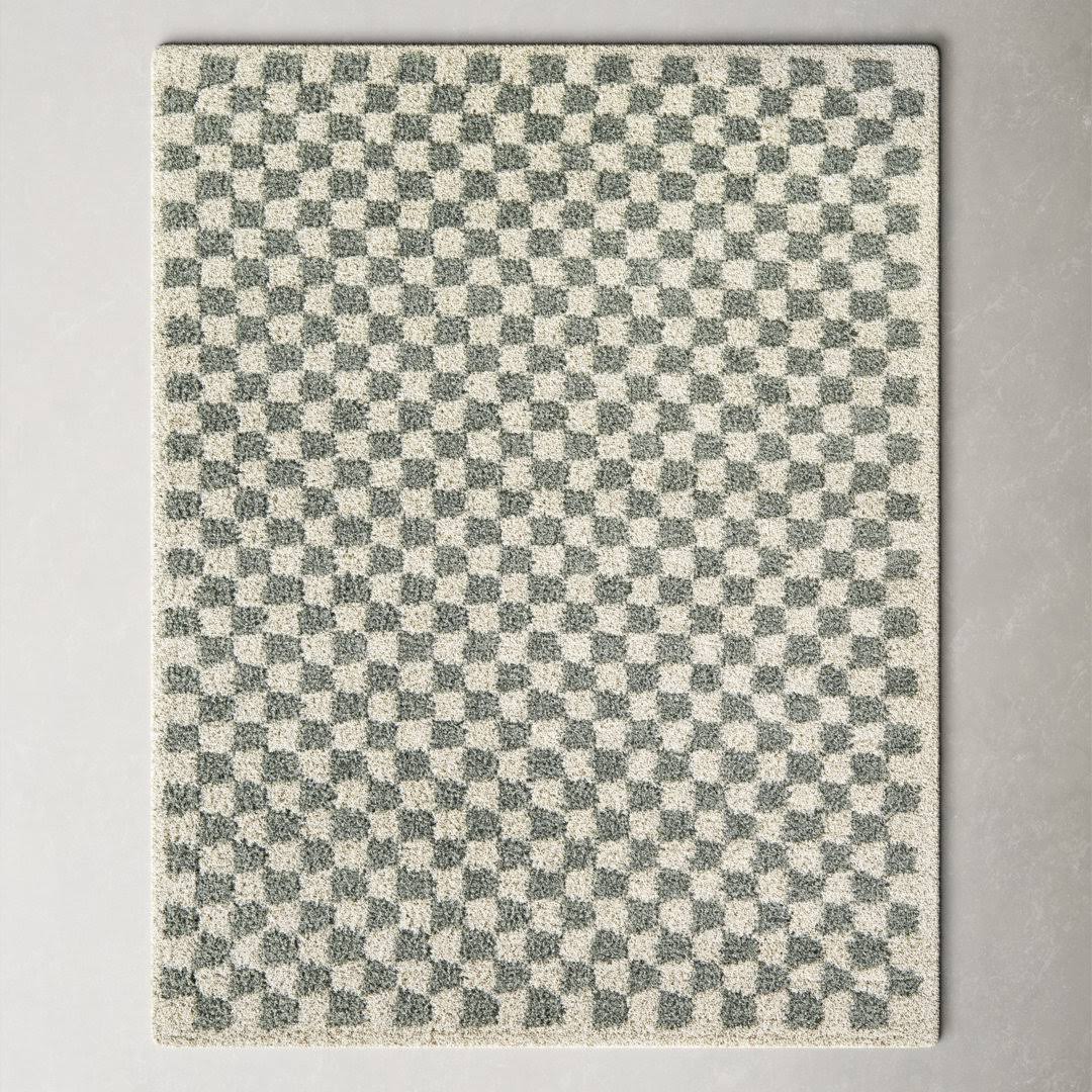 Walker Checkered Sage/Cream Shag Area Rug AllModern Rug Size: Rectangle 7'10" x 10'